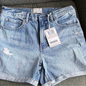 Everlane The Denim Short